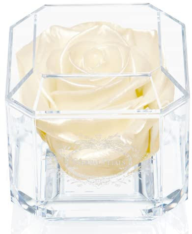 A 100% Real Rose That Lasts Years - Eternal Petals, Handmade in UK – White Gold Solo (Champagne Satin)
