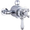 Traditional Exposed Concentric Solid Brass Dual Thermostatic Bathroom Shower Mixer Valve | 1 Outlet 2 Handles | EcoSpa®