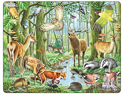 Larsen FH17 European Forest Jigsaw Puzzle for Kids 4-12 - 40 Pieces - Educational Nature Puzzle - Boxless Tray & Frame - Back to School Learning Toy - Great Learning Tool