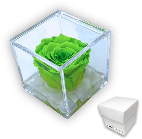 PREMIUM ROSE - Cubo Rosa Stabilizzata Verde 8 cm con Marmo di Carrara - Rosa Eterna Stabilizzata Made in Italy Idea per Auguri di Nuovi Inizi e Decorazioni - Verde A 1089