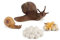 Herbests Schnecken Life Cycle Stages Simulation Tier Modell Lernspielzeug für Kinder, Mini-Wachstum, Tier, Bildung, Zubehör, Spielzeug Set
