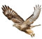 ihreesy Universal Adler Autoaufkleber, 2 Stück Personalisiert Fliegender Adler Grafik Aufkleber Selbstklebend Wasserdicht Auto Seitentür Schweller Außendekoration Sticker Karosserie Decal,#A