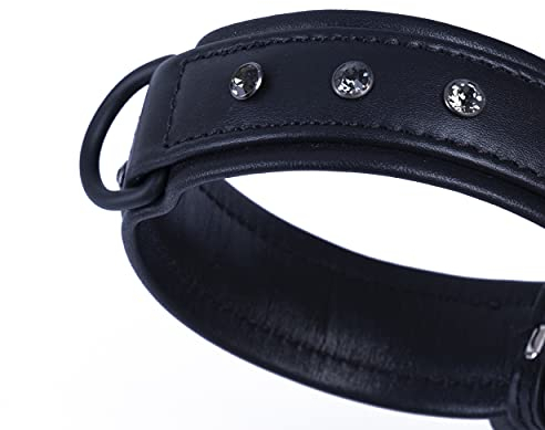 MICHUR Zorro Hundehalsband Leder, Lederhalsband Hund, Halsband, Schwarz, Leder, mit schwarzen Strasssteinen/Kristallen, in verschiedenen Größen erhältlich
