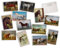 Hill Valley Greetings Vintage Horses Postkarten – 24 Vintage-Postkarten – 12 verschiedene Retro-Pferde-Drucke – gedruckt auf antikem, strukturiertem Karton