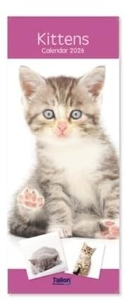 2026 Super Slim Month to View Spiral Bound Hanging Wall Calendar Home Office (Kittens)