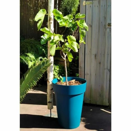 Riss Pot de Fleurs 53 cm Bleu Plastique