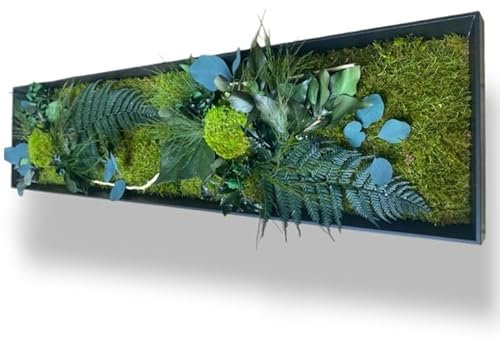 Tableau Végétal Stabilisé XL 100 x 33 cm – Décoration Murale Naturelle | Plantes Stabilisées Sans Entretien | Fabriqué en France