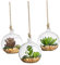 GLEAVI 4 Piezas Jarrón de Vidrio Colgante Forma de Bola para Plantas Suculentas Contenedor de Terrario con Base Plana para Decoración de Bodas y Hogar