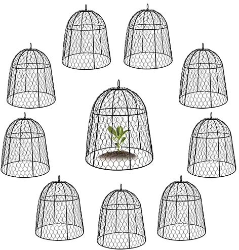 YLSAZL Garten Hühnerdraht Glocke für Pflanzen [10er Set] Gartenglocken Pflanzenschutz und Abdeckung Mesh Pflanzkäfige um Hirsche und andere Tiere draußen zu halten Garten Große Pflanzenglocke