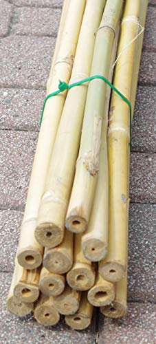 Ferritalia Lot de 5 cannes en bambou pour support des potagers et autres utilisations, 150 cm
