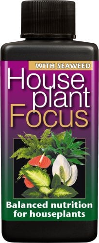 Houseplant Focus Balanced Liquid Concentrated Fertiliser 100ml (2)