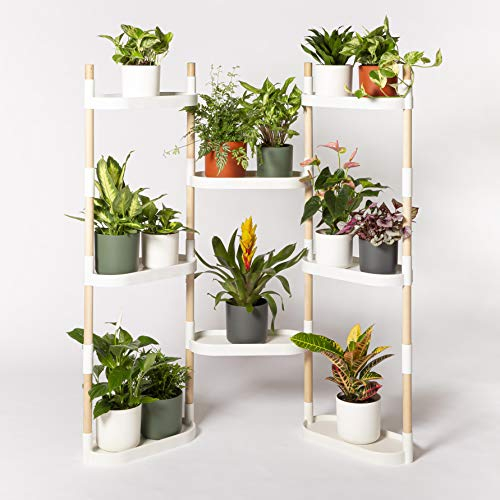 Citysens – Blumenregal mit 8 Regalböden, Weiß