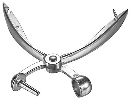 Rosixehird Aceitunas | Utensilios Cocina Aluminio espino Rojo Date Pit Remover | Utensilios Cocina manuales para extracción rápida Semilla azufaifa Fecha