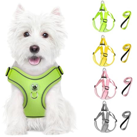 Feycig Hundegeschirr Kleine Hunde, Anti Zug Einstellbar Reflektierend Geschirr, Atmungsaktiv Weiches aus Mesh Geschirr Hund Leichtes Welpengeschirr Brustgeschirr mit Griff (Grün, X-Small)