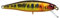 Illex Tiny Fry 38 SP Mini-Wobbler Serie, Muster:HL Gold Trout