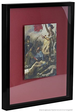 Bildershop-24 Objektrahmen FrameBox VARIO36 Schwarz (matt) 29,7x42cm (DIN A3) zum Einrahmen von Trikots, Blumen, Passepartouts etc.