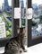 4 Pcs Window Locks for Cats Child Window Safety Restrictors Self Adhesive Window Lock Adjustable for UPVC Window Restrictor No Drilling for Metal, Wooden, Sliding Window, Door, Cabinet