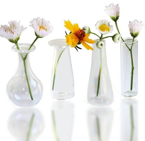 MIUPOO Sehr Kleine Vase,Mini Kleine Glasvasen Blumenvasen Mini Vasen Set für Tischdeko Tafelaufsätze Hochzeitsdeko Wohnzimmer Couchtisch Badezimmer,5cm,4 Stück Glatte Vasen