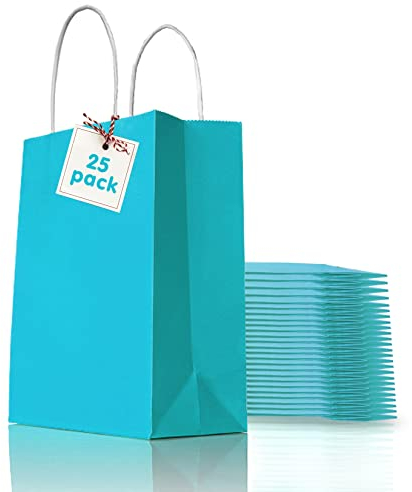Herbst 25 Stück Papiertüten Hellblau mit Henkel, 21x15x8cm Natur Kraftpapier Tüten Wiederverwendbar und Faltbar Kleine Papiertüten DIY Basteltüte für Hochzeit Geburtstag Partys Weihnachten