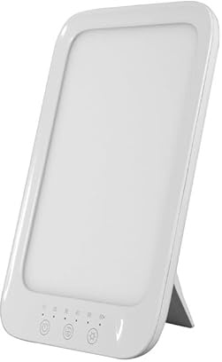 SWZEC Nordilight Tageslampe (2 Stück)