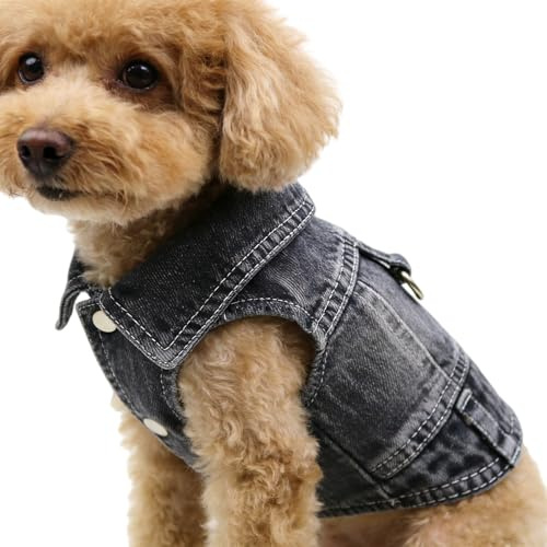 Hundejacke, Jeans Hundekleidung mit Metallhake für Welpen, Sommer Haustier Bekleidung Hundeweste Shirts für Welpen,Kleine Hunde (Schwarz, M)