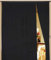 Kaikoon Fadenvorhang Vorhang Fadengardine Messe 150 cm x 250 cm schwarz Neu