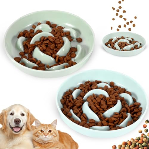 OUZHOU Slow Feeder Cat Bowls 2 Pack, Anti-Gulp Maze Cat Food Bowl for Slow Eating, Cat Puzzle Feeder for Cats & Small Dogs, Non-Slip Base, Suitable for Dry & Wet Food, Dishwasher & Microwave Safe