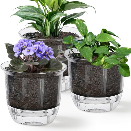 3 Pack Self Watering Plant Pots, 16cm Orchid Pots, Plastic Plant Planter | with Drainage Maintains, Indoor Flower Pots Seed Nursery Pots for Peace Lily, Orchid, Snake Plant (Clear)