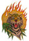 alles-meine.de GmbH Sticker/Aufkleber/Wandtattoo/Fensterbild - auch als Laptopsticker - Tiger mit Flamme - Folie Glimmer Skin - Zootiere Zootier - Wandaufkleber + Fensterst..
