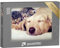 puzzleYOU: Puzzle 1000 Teile „Welpe und Kätzchen schlafen“ – aus der Puzzle-Kollektion Tiere, Katzen-Puzzles
