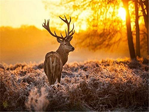 YJPZZG 2000 Stück Holzpuzzle Edles Hirsch-Puzzle Puzzle FüR Erwachsene Ist EIN Herausforderndes Geschicklichkeitsspiel FüR Die Ganze Familie Fertige Größe 99.5×70.5cm