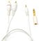 DRUT 5m 3.5mm Stereo Jack Plug to 2 x Twin RCA Phono Y Plugs Audio AUX Cable, Lead With 6.35mm Adapter Converter Gold Ends (White, 16.5ft)