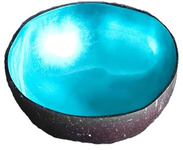 Hiseng Hand Painted Natural Coconut Key Bowl - Solid Colour Print Decorative Storage for Hallways, Jewellery, Nuts, Candy (Blue)