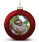Weihnachtsbaumschmuck, Faultier auf einem Ast, Weihnachtskugel-Dekorationsset, Weihnachtsbaumschmuck für Feiertagsdekoration