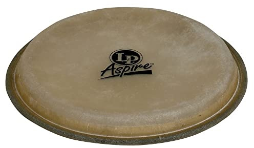 LP Aspire 6.75 Bongo Head