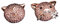 YAZILIND Süße Schweinchen Ohrringe Weibliche Persönlichkeit Tierkreis Schwein Form Gestüt Ohrstecker Frauen Mädchen Geburtstagsgeschenk Schmuck (# 1)