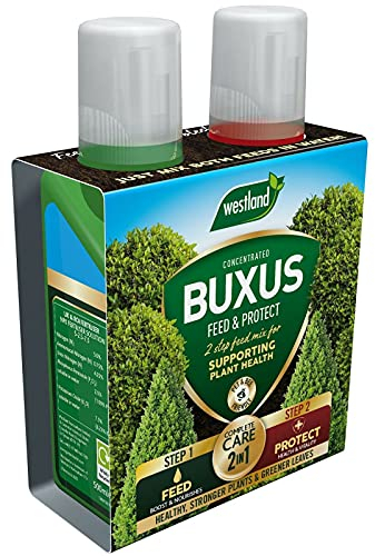 Westland Horticulture Buxus Feed & Protect Konzentrate 2 in 1 (2x500ml) 20100418