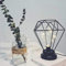 Mengjay Retro Tischlampe, Industrielle Käfig Eisendraht Lampenschirm Tischleuchte, Schlafzimmer Nachttischlampe, Vintage Dekorative Nachtlicht, Schwarz E27 Kabelschalter (B)