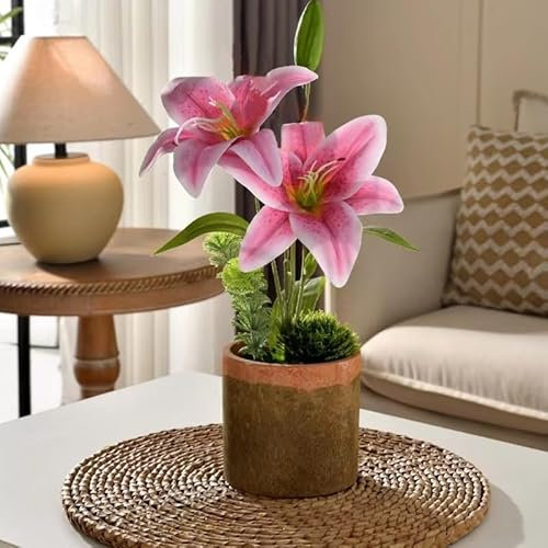 MaxSimple Künstliche Blumenpflanzen, rosa künstliche Lilienblumen, Arrangement, Tafelaufsatz, Tischdekorationen, Pflanzen für Zuhause (rosa Topf)