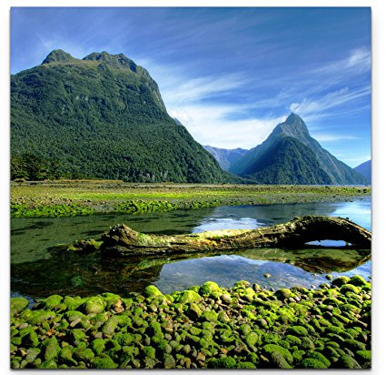 Paul Sinus Art Leinwandbilder | Bilder Leinwand 60x60cm Mitre Peak in Neuseeland