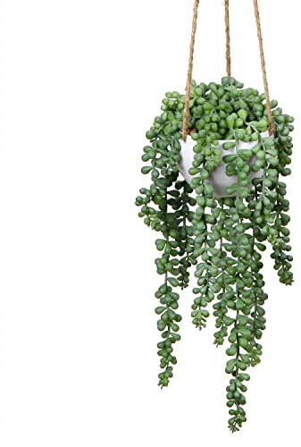 plants Künstliche Sukkulenten zum Aufhängen, künstliche Perlenschnur, Grün mit Pflanzgefäß, für Zuhause, Wand, Garten, Innen- und Außendekoration