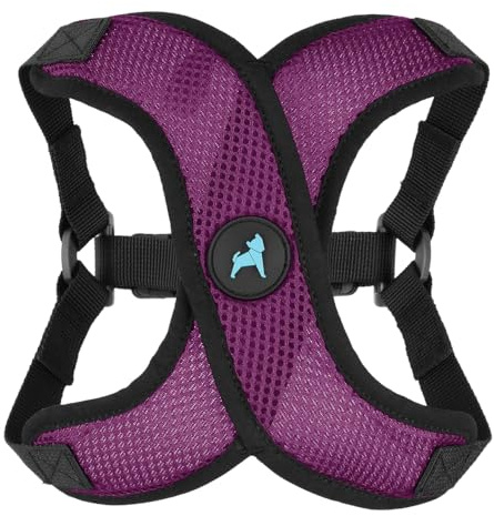 Gooby Comfort X Step in Lite Dog Harness - Choke Free, Escape Free with Light Breathable Mesh - Step in Dog Harness for Small and Medium Dogs - Quick Release Buckle, Metal D-Rings - Purple, Medium