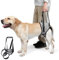Tragehilfe Hund Treppe, Hundeliftgeschirr Mobilitätshilfen, Einstellbar für Hinterbeine, Unterstützung bei Schwachen Beinen, Chirurgie, Rehabilitation (XL)