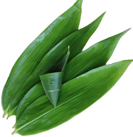 FIFIWER Feuilles de bananier fraîches (100 pièces, 33 cm de long x 8,1 cm de large), feuilles de bananier fraîches pour la cuisine, feuilles de bambou adaptées à la fabrication de sushis, zongzi,