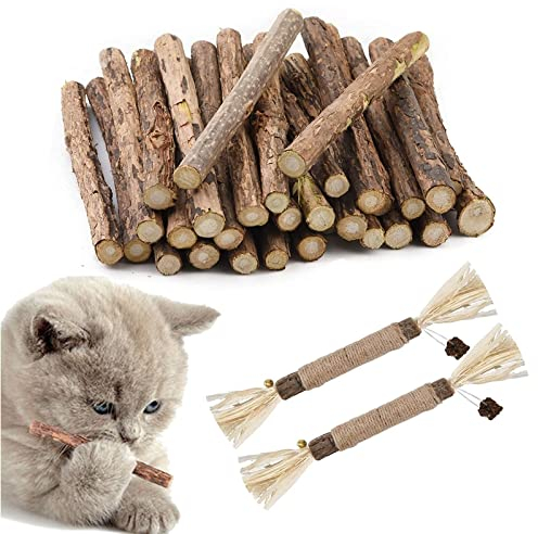 Butyeak Katzen Kauspielzeug, katzenminze Sticks, Katzen Zahnpflege, 30+2 Stück Katzenspielzeug Natur gegen Mundgeruch, Dental Sticks Katze, Katzen Kauspielzeug für praktische Dental Care Bei Katzen