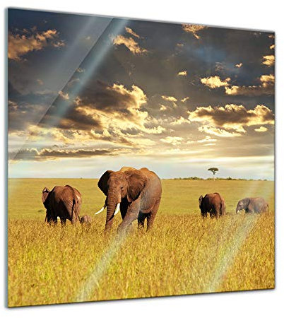 Bilderdepot24 Tableau en verre Motif éléphants, Verre, 30 cm x 30 cm