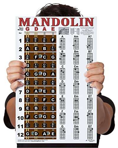 Laminiertes Mandolinen-Griffbrett-Notizen und einfaches Anfänger-Akkord-Diagramm, 27,9 x 43,2 cm, Anleitung (evtl. nicht in deutscher Sprache) A New Song Music