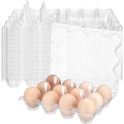 Lot de 100 boîtes à œufs en plastique transparent pour 12 œufs, boîtes à œufs de poule - Porte-œufs vides en plastique jetables pour réfrigérateur - 19 x 14 x 6,3 cm