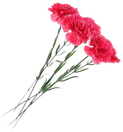 VINTORKY 5 Stück Nelkenstiele Zum Muttertag Natürliche Künstliche Nelken Für Hochzeitsdekoration Und Blumenarrangements Zu Hause