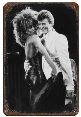 KJUFE Tina Sänger Turner und David Sänger Bowie-Poster, 1 Blechschild, Vintage, Metall, Pub, Club, Café, Bar, Zuhause, Wandkunst, Dekoration, Poster, Retro, 20 x 30 cm